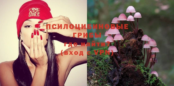 бошки Верхний Тагил