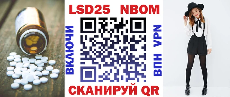 Купить закладки  Борзя  Лсд 25 экстази кислота 