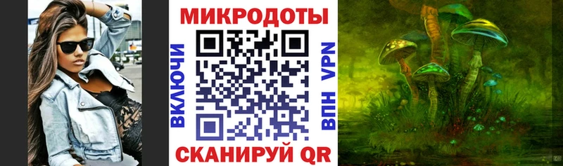 Купить Борзя Галлюциногенные грибы GOLDEN TEACHER